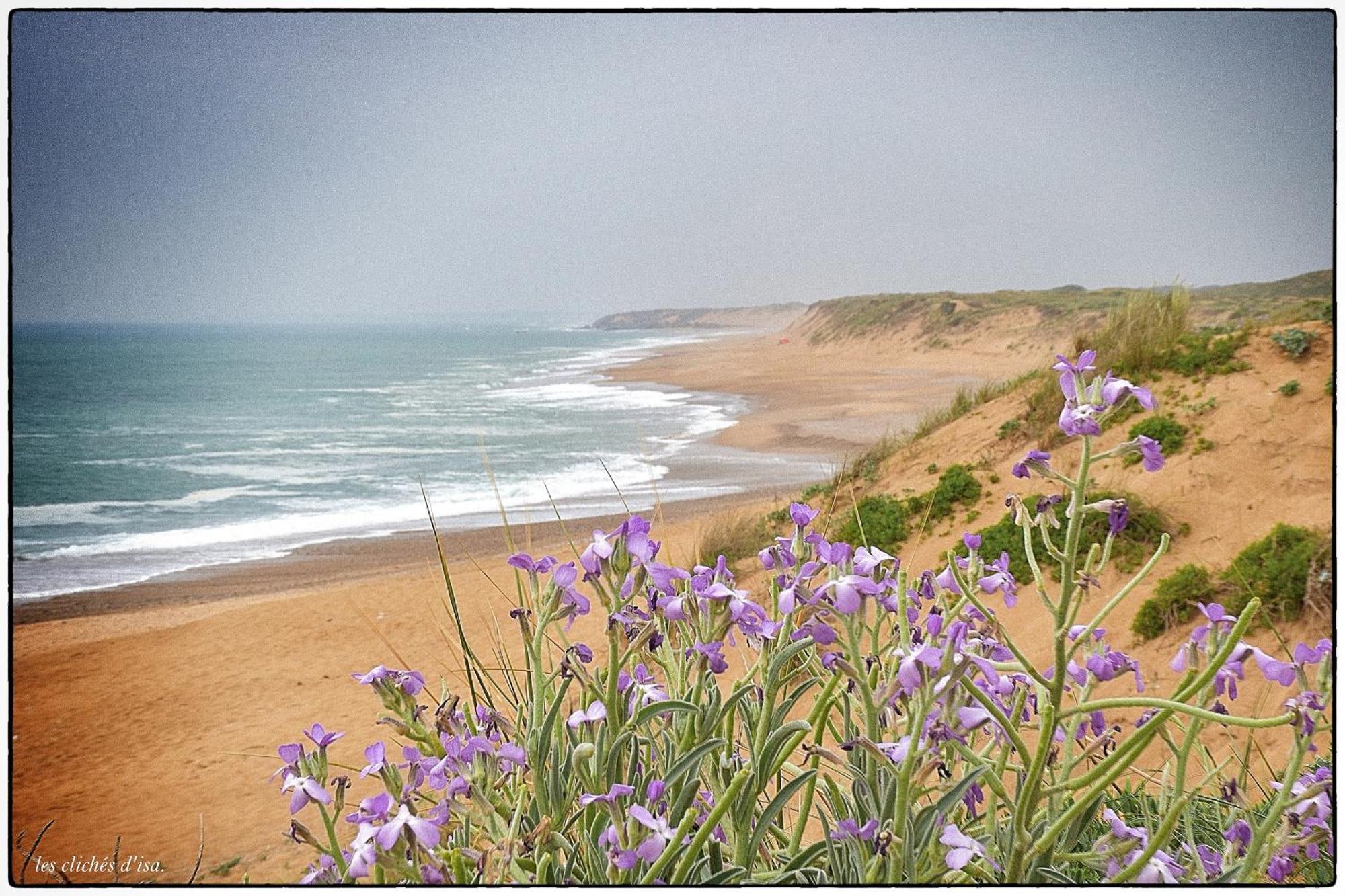 Le Grand Panoramique - Face Les Sables-d'Olonne